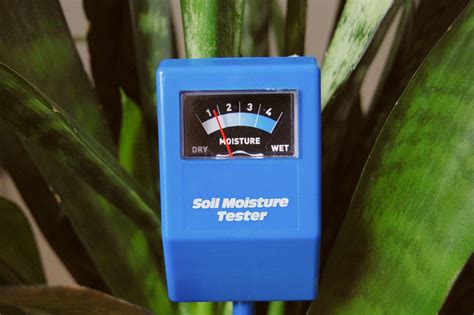 youtube how to use a moisture meter|moisture meter chart for houseplants.